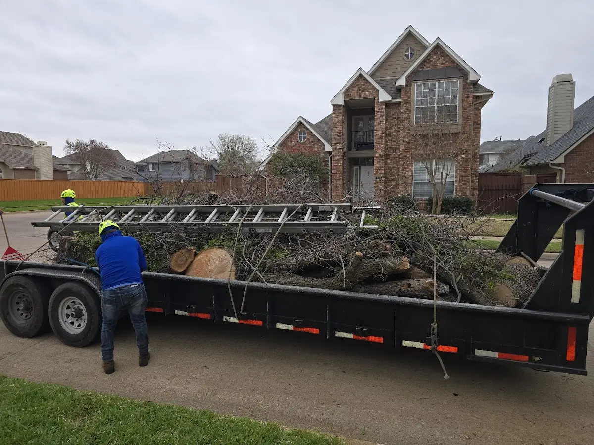 Expert Tree Fertilization with proper safety equipment in Altamahaw
